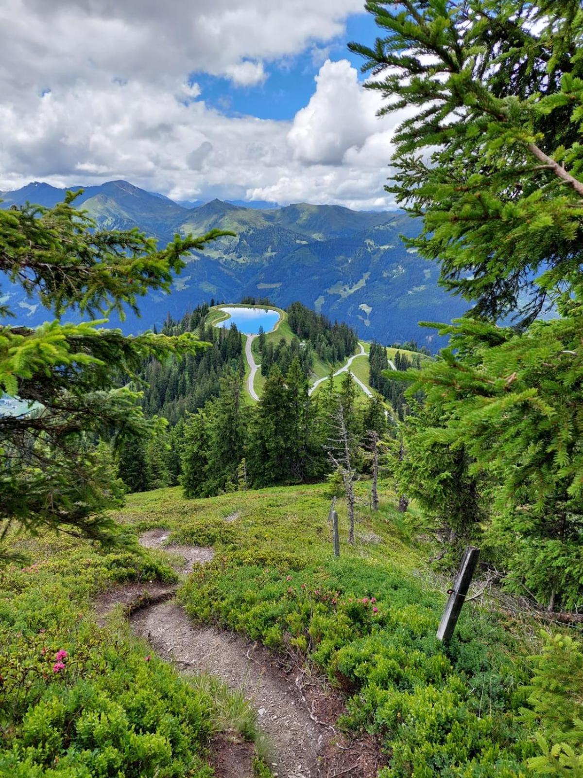 Pension Posauner Дорфгаштайн Экстерьер фото